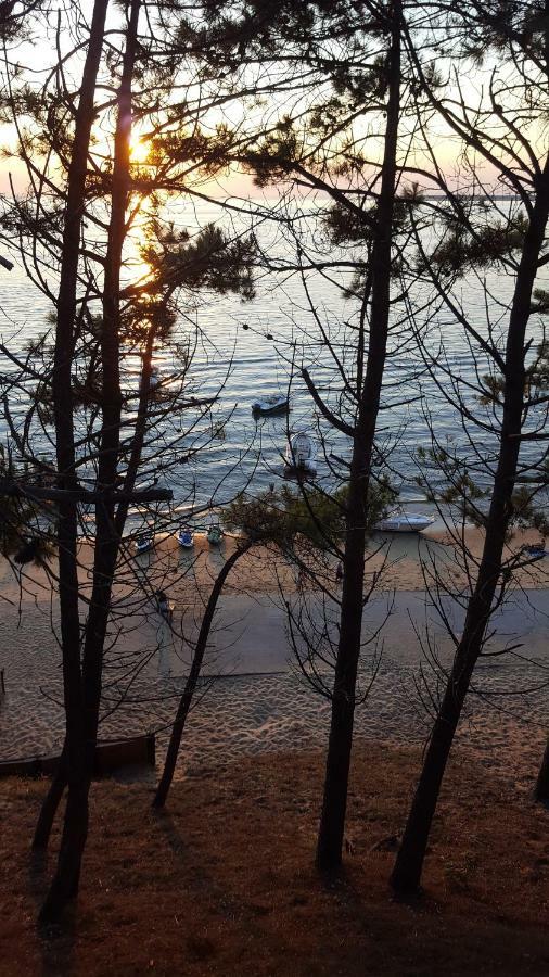 Chambre Proche Dune Du Pyla 外观 照片